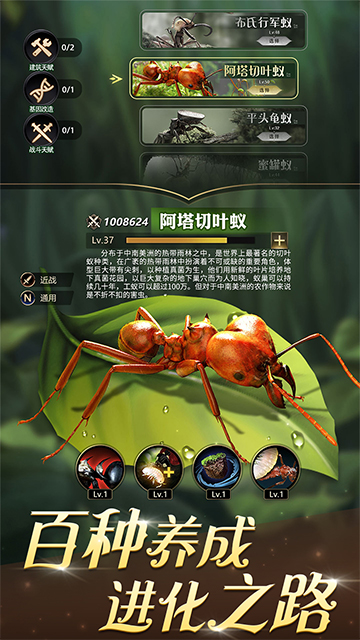 小小蚁国-1 游戏截图1