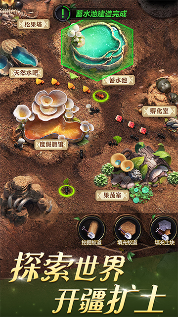 小小蚁国-1 游戏截图2